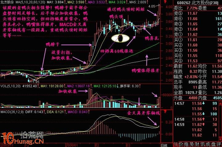 圖解老鴨頭形態選股技巧 圖解老鴨頭形態選股技巧,拾荒網