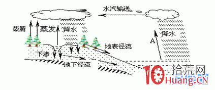 論股市情緒循環戰法與打板經驗,拾荒網