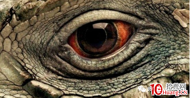 龍頭戰法深度思考(第5篇):資金性質決定龍頭性質(圖解) 龍頭戰法深度思考(第5篇):資金性質決定龍頭性質(圖解),拾荒網