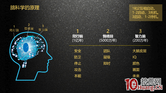 讓我精準掌握市場情緒和人性(極少吃面)的周期理論(圖解) 讓我精準掌握市場情緒和人性(極少吃面)的周期理論(圖解),拾荒網