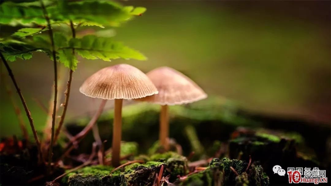 股票創歷史新高敢於打板買入，背後的邏輯是什麼,拾荒網