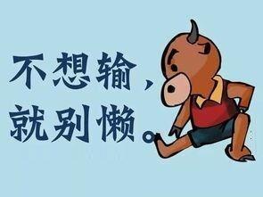 妖股系統戰法深度教程4：妖股系統,拾荒網