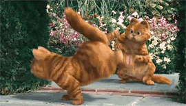 探索分時圖(十四):情緒宣泄上演AV頂底(下)-V字底(圖解) 探索分時圖(十四):情緒宣泄上演AV頂底(下)-V字底(圖解),拾荒網