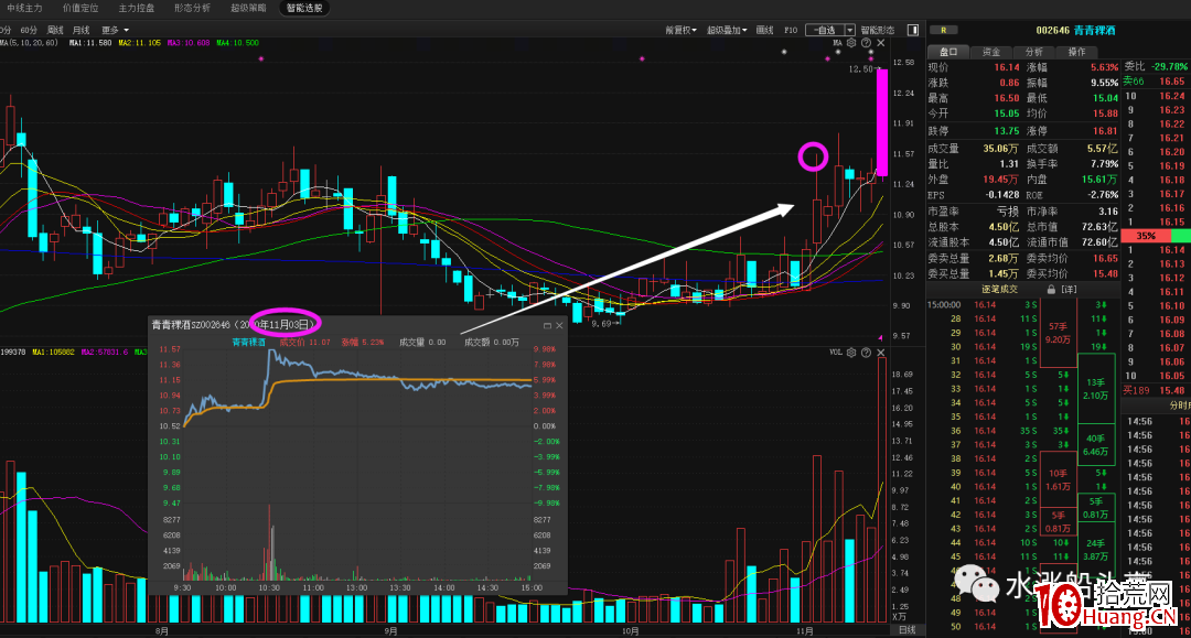 漲停板試盤(圖解) 漲停板試盤(圖解),拾荒網