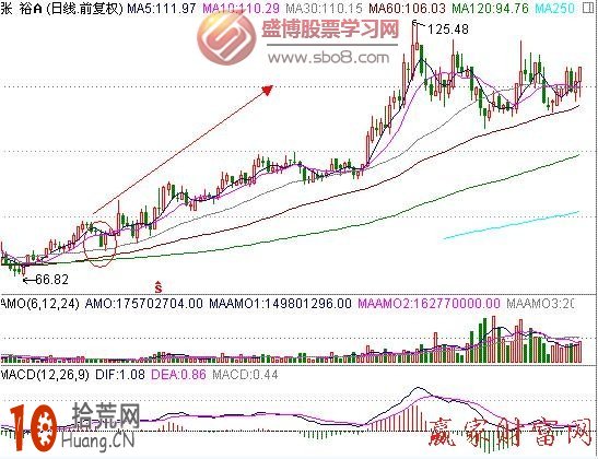 圖解什麼是心電圖的分時走勢 圖解什麼是心電圖的分時走勢,拾荒網