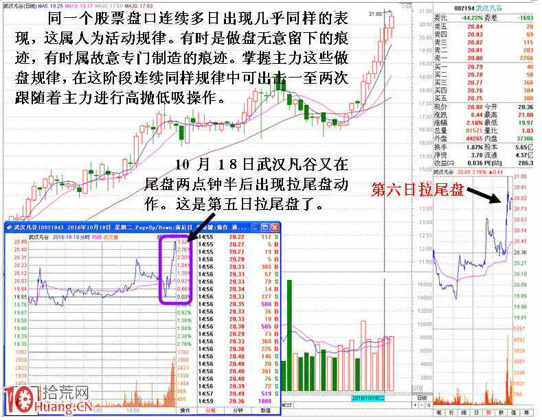 圖解莊傢個體行為的操盤規律,拾荒網