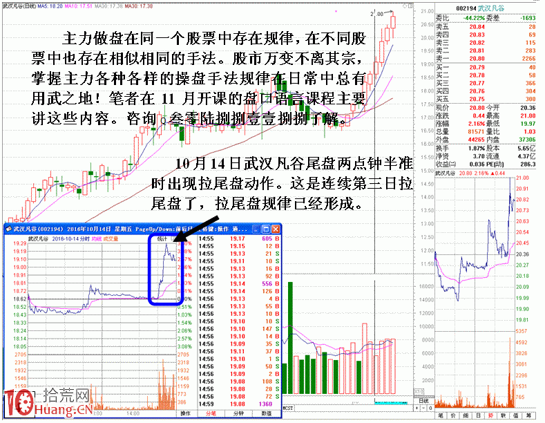 圖解莊傢個體行為的操盤規律,拾荒網