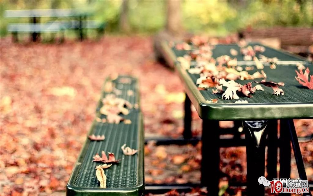 股票創歷史新高敢於打板買入，背後的邏輯是什麼,拾荒網