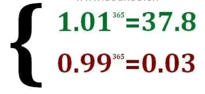 低吸、半路、追漲、反包、加速等交易模式如何選擇?談談交易模式的優先級 深度教程 低吸、半路、追漲、反包、加速等交易模式如何選擇?談談交易模式的優先級 深度教程,拾荒網