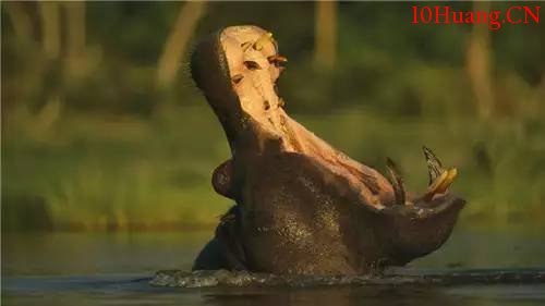 資金流入流出的秘密 資金流入流出的秘密,拾荒網