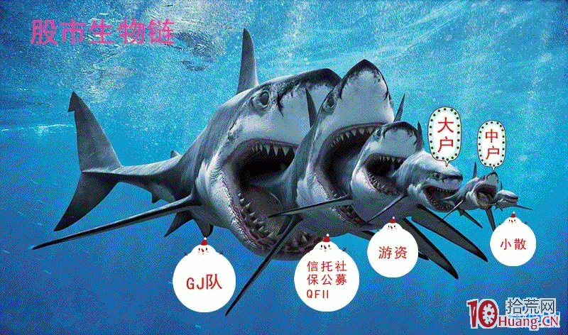 三張圖看清股市的生態系統：股市食物鏈、K線圖生態鏈、分時圖生態鏈,拾荒網