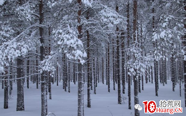 龍頭戰法深度思考(第17篇):論分歧,不要浪費任何一次危機 龍頭戰法深度思考(第17篇):論分歧,不要浪費任何一次危機,拾荒網