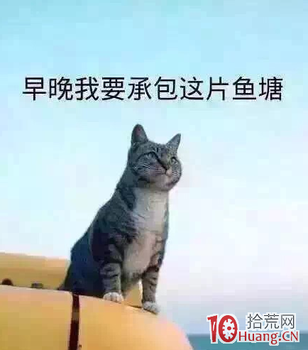 龍頭戰法的兩本聖經 龍頭戰法的兩本聖經,拾荒網