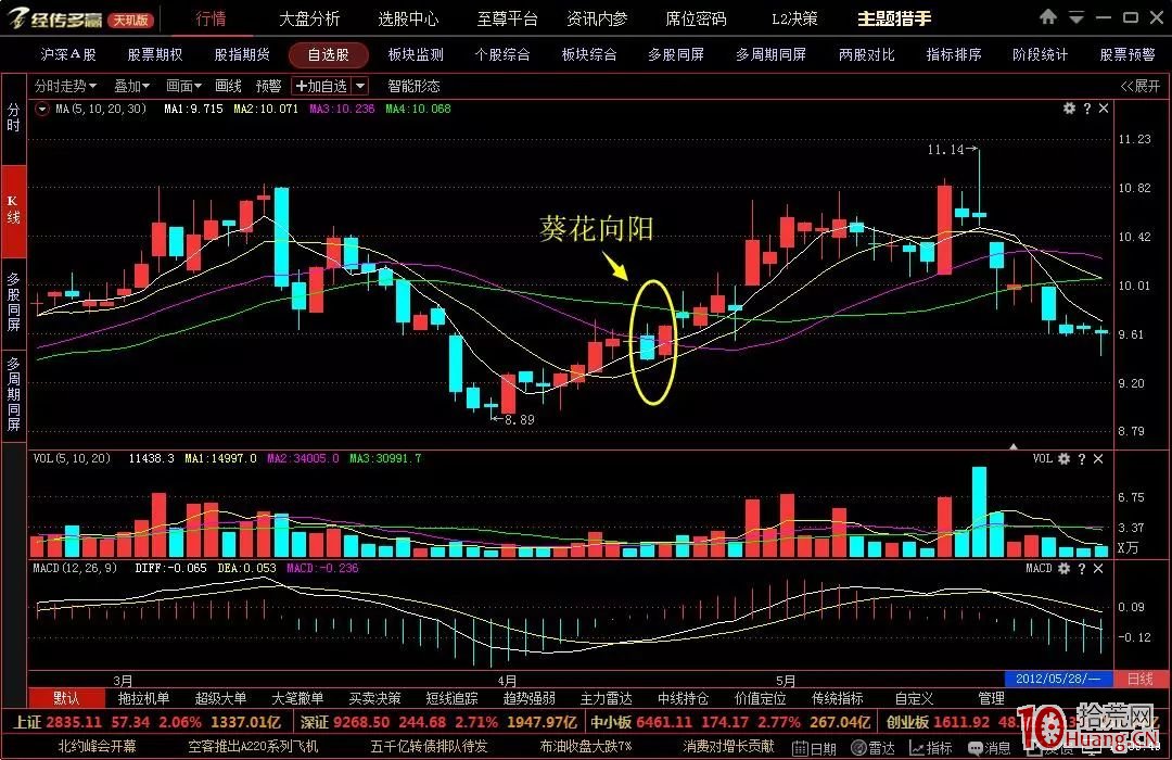 強勢股的六種K線形態抓漲停板（六）葵花向陽（圖解）,拾荒網