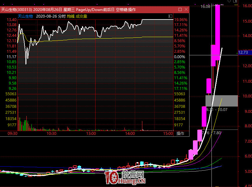 龍頭戰法精髓 龍頭戰法精髓,拾荒網