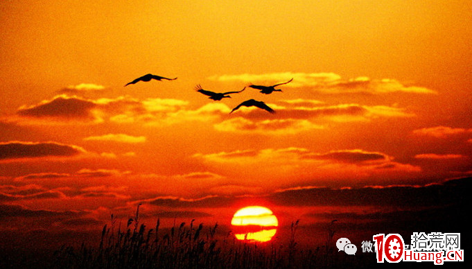 龍頭戰法深度思考(第11篇):落霞與孤鶩齊飛,秋水共長天一色 龍頭戰法深度思考(第11篇):落霞與孤鶩齊飛,秋水共長天一色,拾荒網