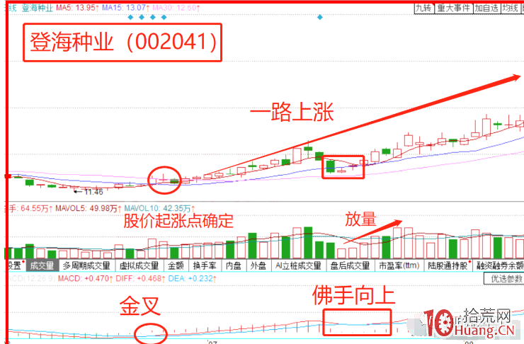MACD指標“佛手向上”形態實戰案例技巧(圖解) MACD指標“佛手向上”形態實戰案例技巧(圖解),拾荒網