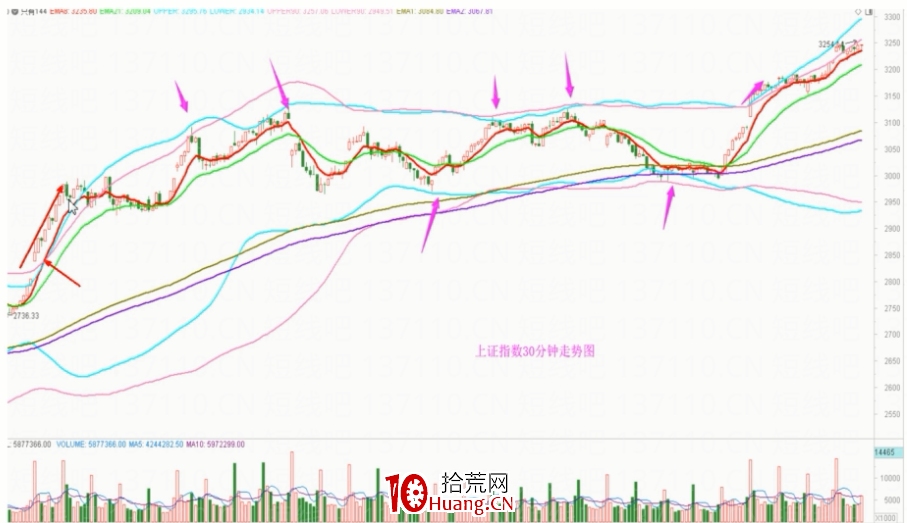 東方玉貓雙佈林線圖文講解(圖解) 東方玉貓雙佈林線圖文講解(圖解),拾荒網